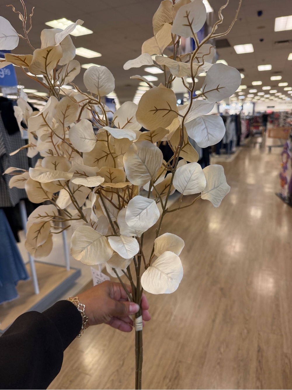Neutral Cream Faux Eucalyptus Stem - Home Accents